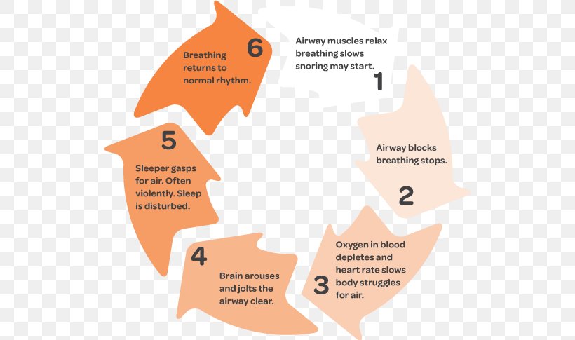 Obstructive Sleep Apnea Breathing, PNG, 523x485px, Sleep Apnea, Adverse Effect, Apnea, Area, Brand Download Free