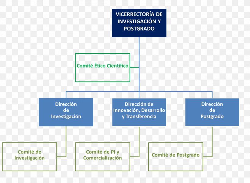 Organizational Chart Directorate Of Research And Graduate Studies, UAQ University Of Atacama, PNG, 1498x1094px, Organization, Area, Brand, Business Administration, Committee Download Free