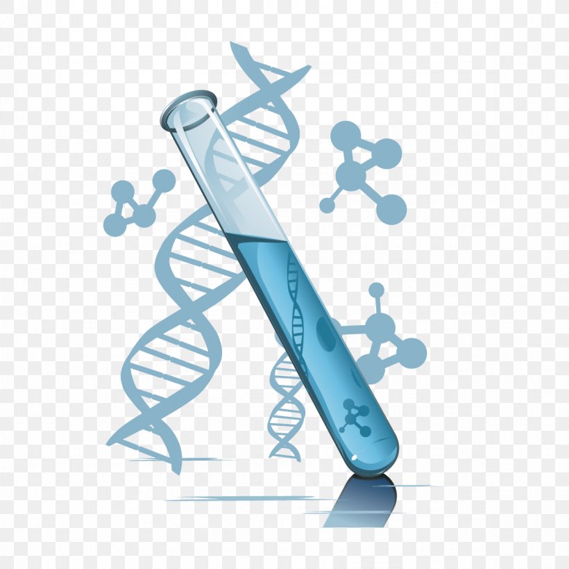 Test Tube DNA Paternity Testing Laboratory Chemical Element, PNG, 1181x1181px, Test Tube, Aqua, Beaker, Blue, Chemical Element Download Free