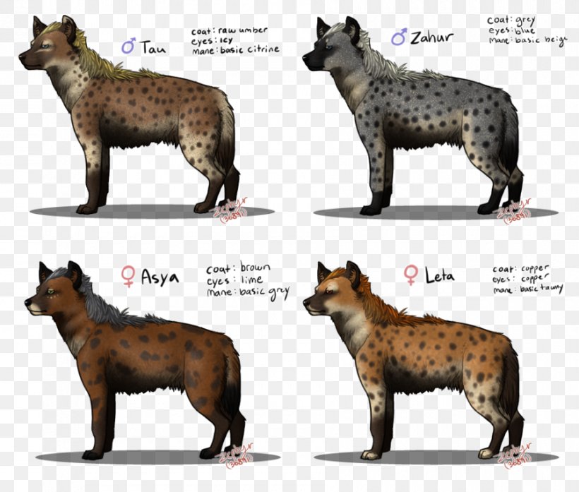 Carnivora Striped Hyena Drawing Lion, PNG, 900x766px, Carnivora, Big Cat, Carnivoran, Cartoon, Cat Download Free