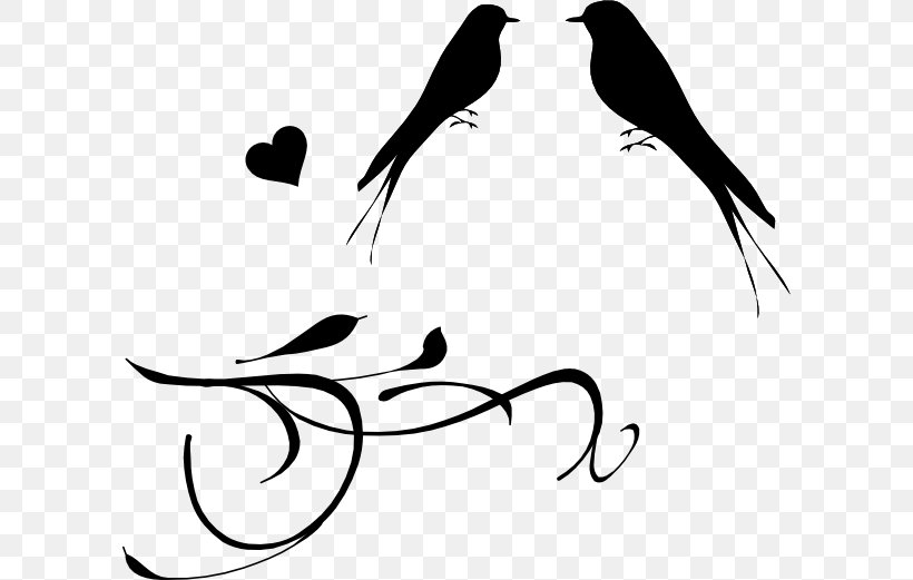 Lovebird Wedding Drawing Clip Art, PNG, 600x521px, Lovebird, Art, Artwork, Beak, Bird Download Free