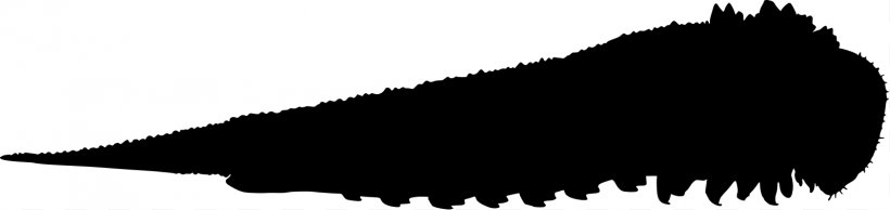 Silhouette Dog Clip Art, PNG, 1596x379px, Silhouette, Beak, Black, Black And White, Carnivoran Download Free