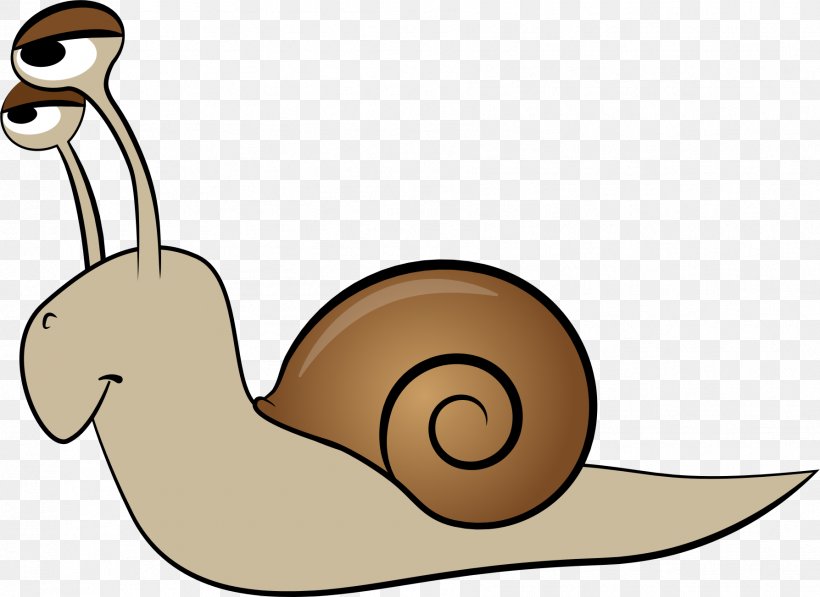 Snail Animation Clip Art, PNG, 1787x1303px, Snail, Animation, Artwork, Drawing, Gastropod Shell Download Free
