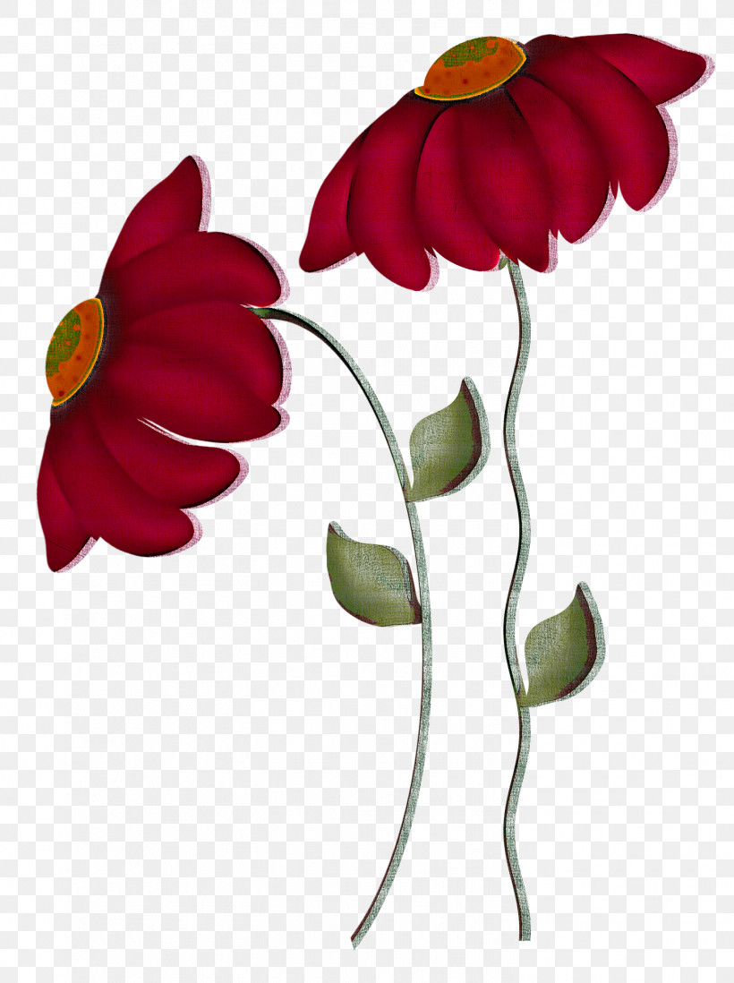 Flower Petal Plant Pedicel Leaf, PNG, 1467x1966px, Flower, Anthurium, Herbaceous Plant, Leaf, Pedicel Download Free