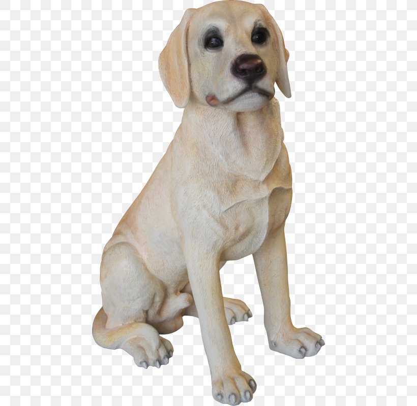 Labrador Retriever Dog Breed Puppy Companion Dog, PNG, 458x800px, Labrador Retriever, Breed, Carnivoran, College, Companion Dog Download Free