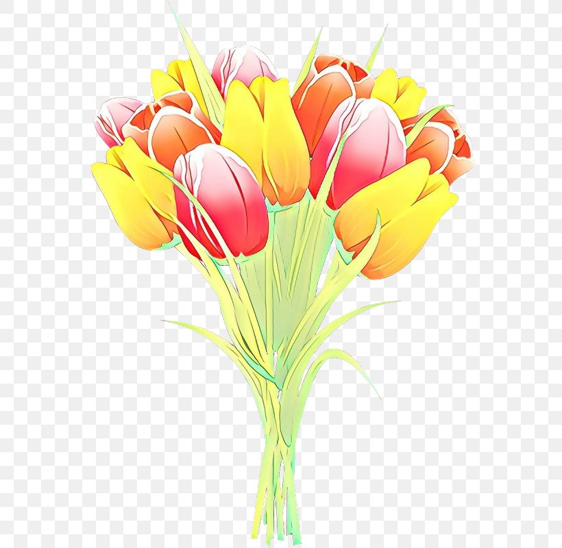 Tulip Cut Flowers Floral Design Flower Bouquet, PNG, 568x800px, Tulip, Botany, Bouquet, Computer, Crocus Download Free