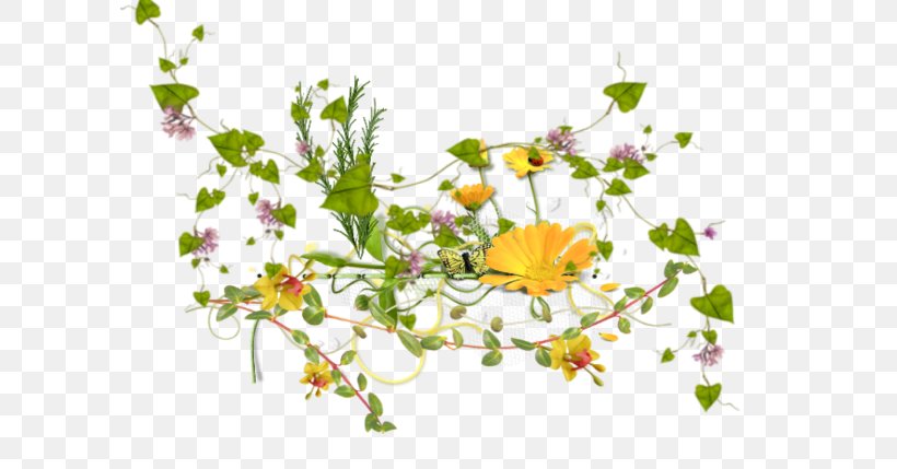 Floral Design Leaf Petal Plant Stem, PNG, 600x429px, Floral Design, Blossom, Branch, Branching, Flora Download Free