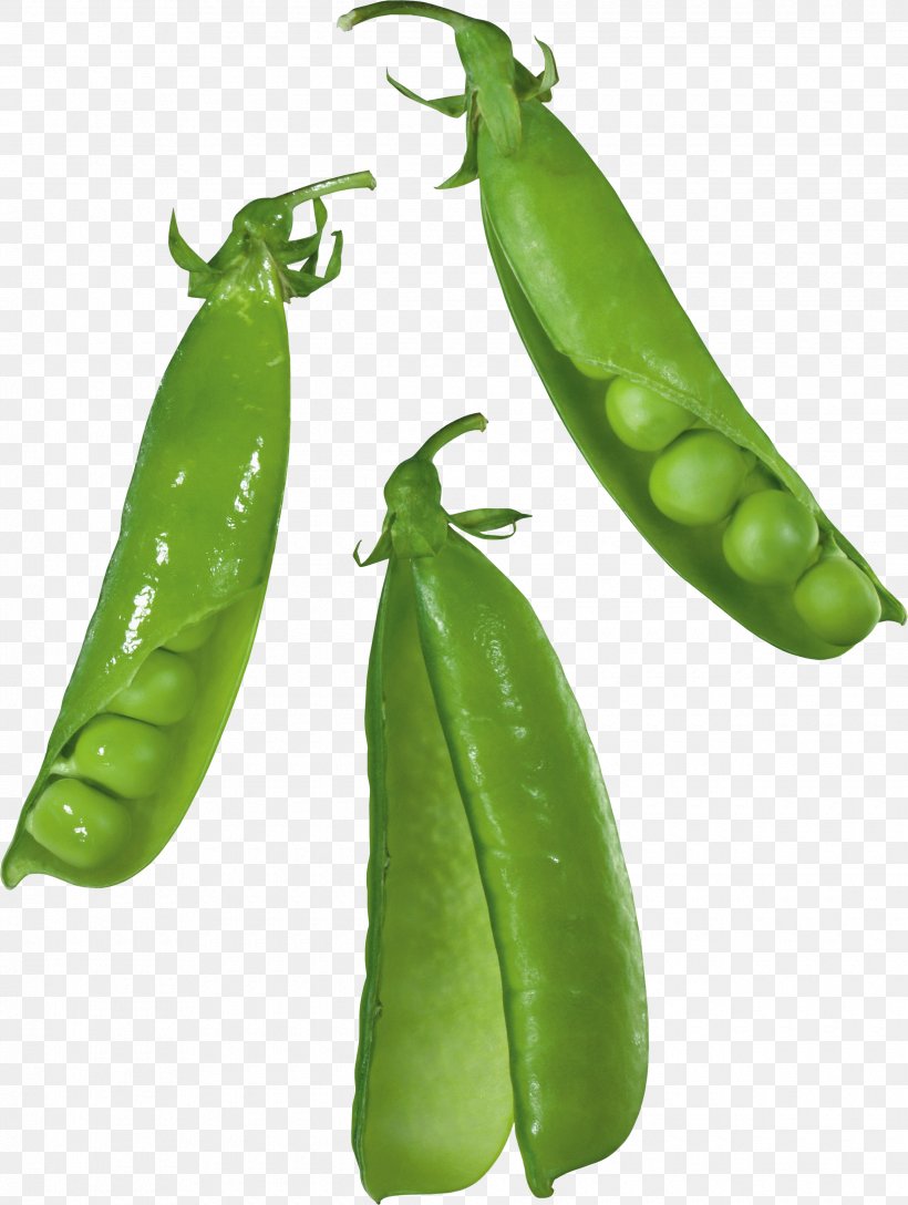 Food Snap Pea Vegetable Lima Bean Legume, PNG, 2480x3292px, Food, Bell Peppers And Chili Peppers, Broad Bean, Chili Pepper, Commodity Download Free