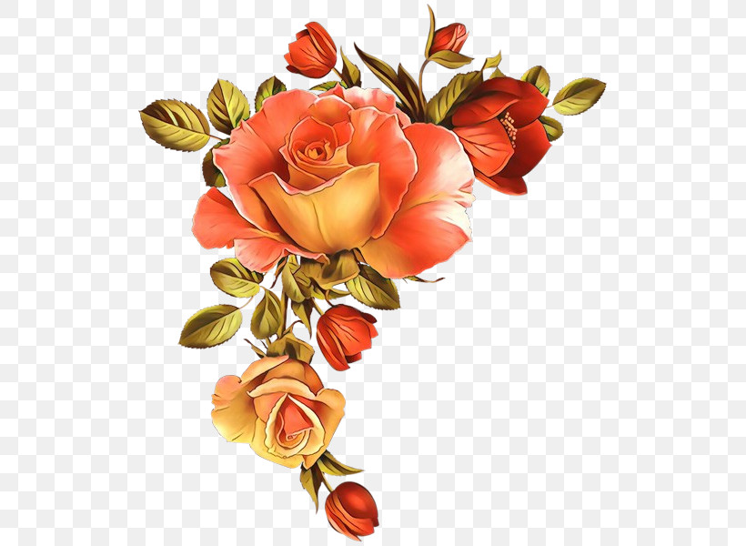 Garden Roses, PNG, 525x600px, Flower, Bouquet, Cut Flowers, Garden Roses, Orange Download Free