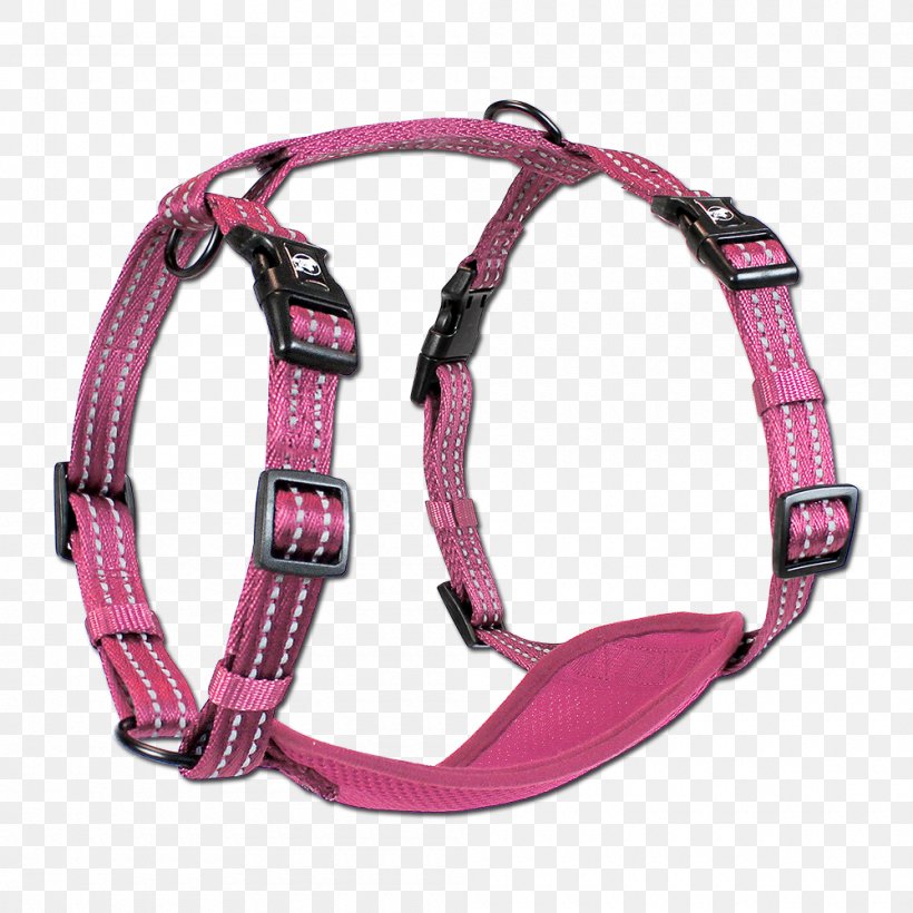 Dog Harness Dog Collar Leash, PNG, 1000x1000px, Dog, Adventure, Cattle, Clothing Accessories, Collar Download Free