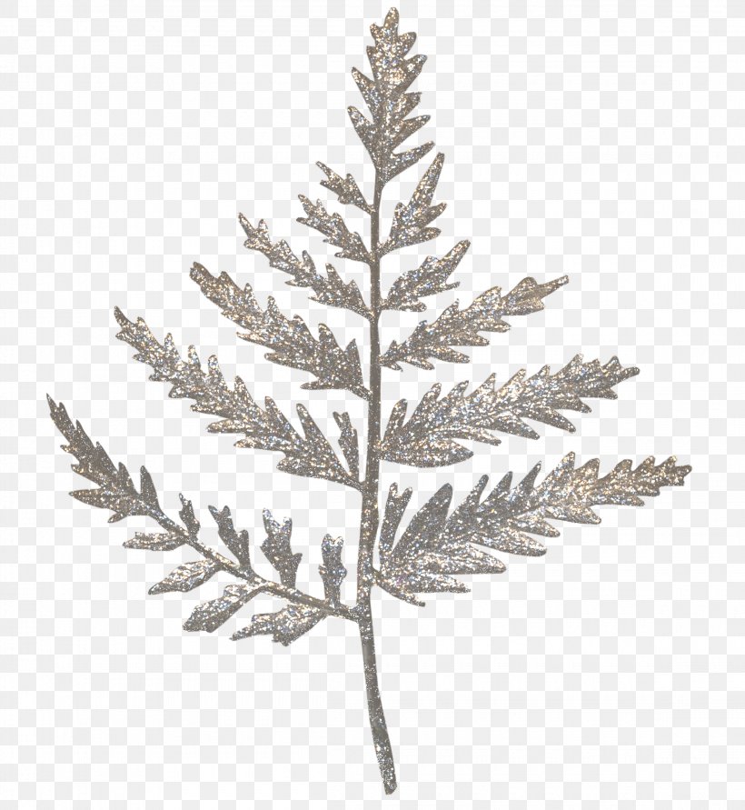 Spruce Leaf Clip Art, PNG, 2300x2500px, Spruce, Black And White, Branch, Christmas Decoration, Christmas Ornament Download Free