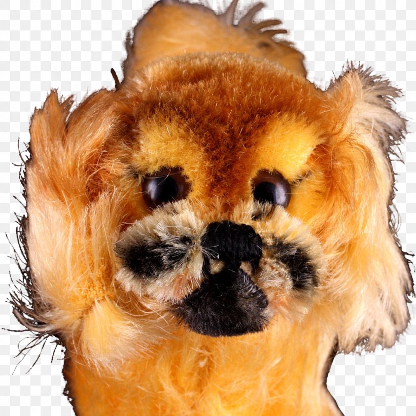 Pomeranian Puppy Dog Breed Companion Dog Canidae, PNG, 1024x1024px, Pomeranian, Animal, Breed, Canidae, Carnivora Download Free