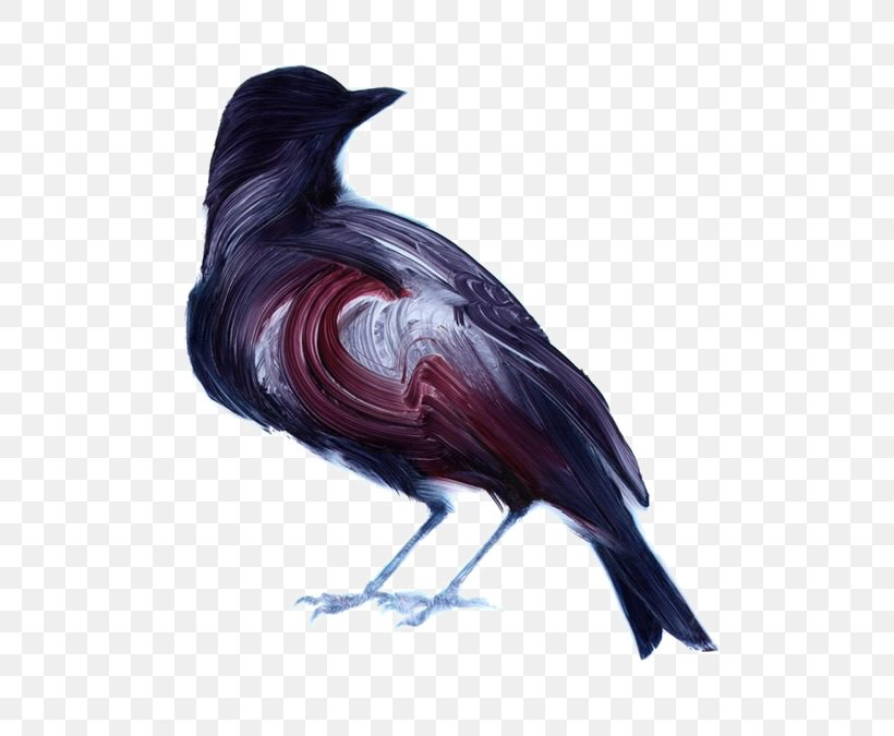 Bird Painting Artist Illustrator Illustration, PNG, 564x675px, Bird, Art, Artist, Atelier, Beak Download Free