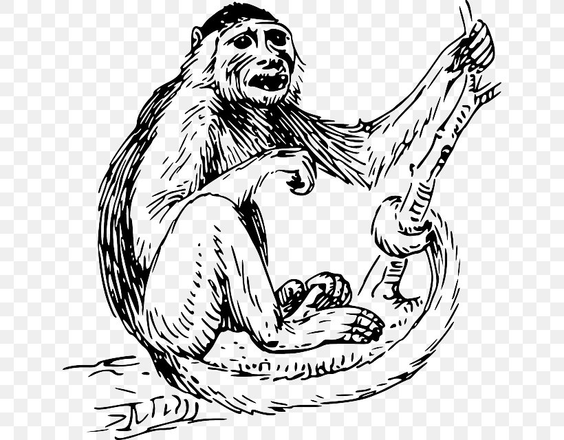 Capuchin Monkey Clip Art, PNG, 638x640px, Watercolor, Cartoon, Flower, Frame, Heart Download Free