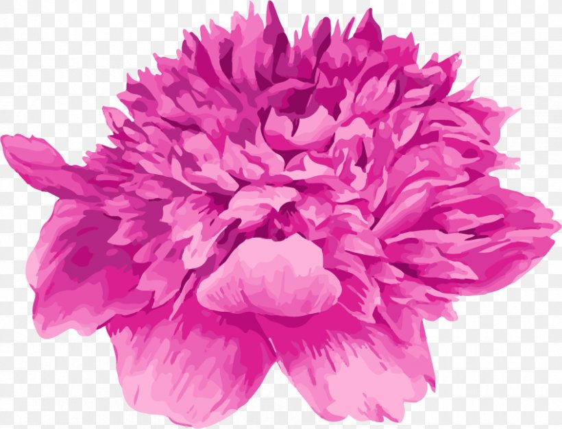 Floral Design Moutan Peony Watercolor Painting, PNG, 848x648px, Floral Design, Cartoon, Chrysanths, Cut Flowers, Dahlia Download Free