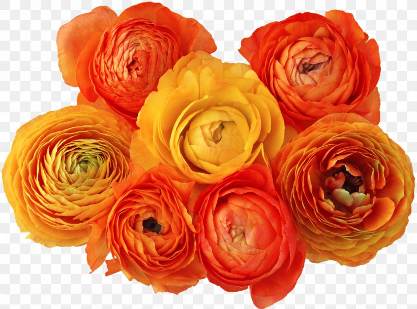 Flower Digital Image Clip Art, PNG, 1280x952px, Flower, Artificial Flower, Cut Flowers, Digital Image, Floral Design Download Free