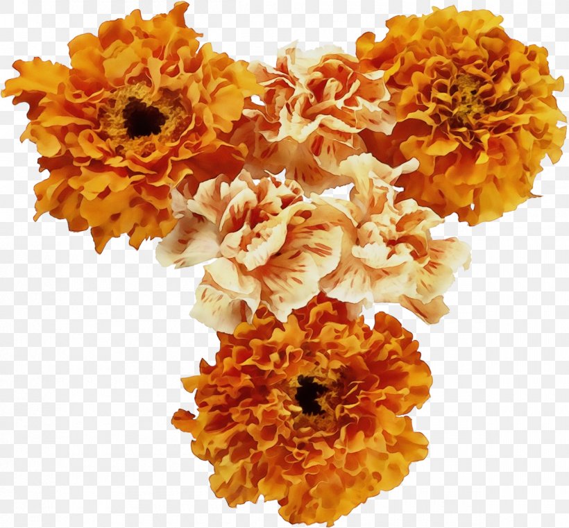 Orange, PNG, 1200x1115px, Watercolor, Cut Flowers, English Marigold, Flower, Orange Download Free