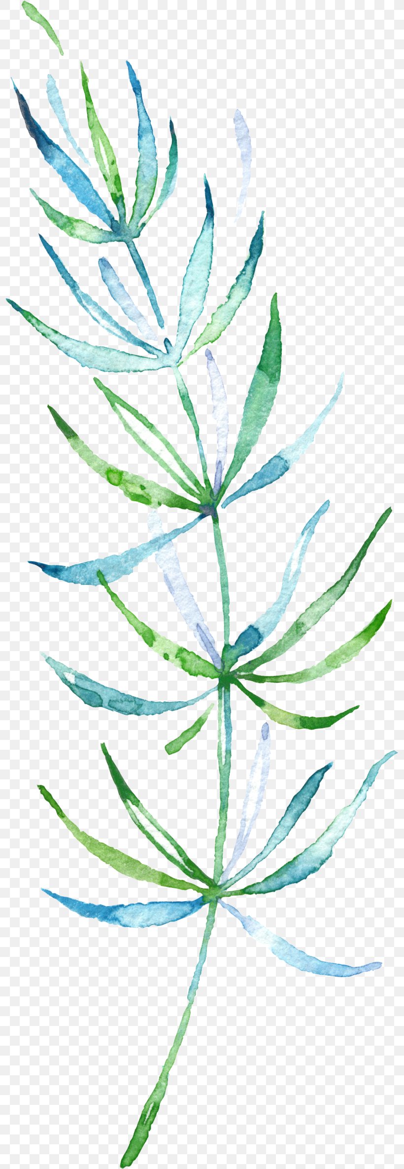 Watercolor Painting Leaf Download, PNG, 797x2370px, Watercolor Painting, Branch, Color, Flora, Flower Download Free