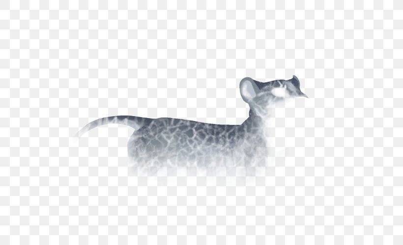 Whiskers Cat Dog Mammal Fauna, PNG, 640x500px, Whiskers, Canidae, Carnivoran, Cat, Cat Like Mammal Download Free