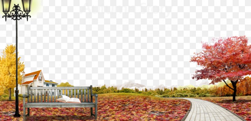 Autumn Tree Maple, PNG, 871x420px, Autumn, Architecture, Autumn Leaf Color, Deciduous, Home Download Free