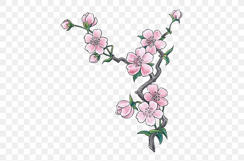 Cherry Blossom, PNG, 538x542px, Flower, Blossom, Branch, Cherry Blossom, Petal Download Free