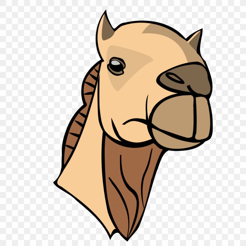 Bactrian Camel Dromedary Camel Face Clip Art, PNG, 900x900px, Bactrian Camel, Autocad Dxf, Big Cats, Camel, Camel Face Download Free