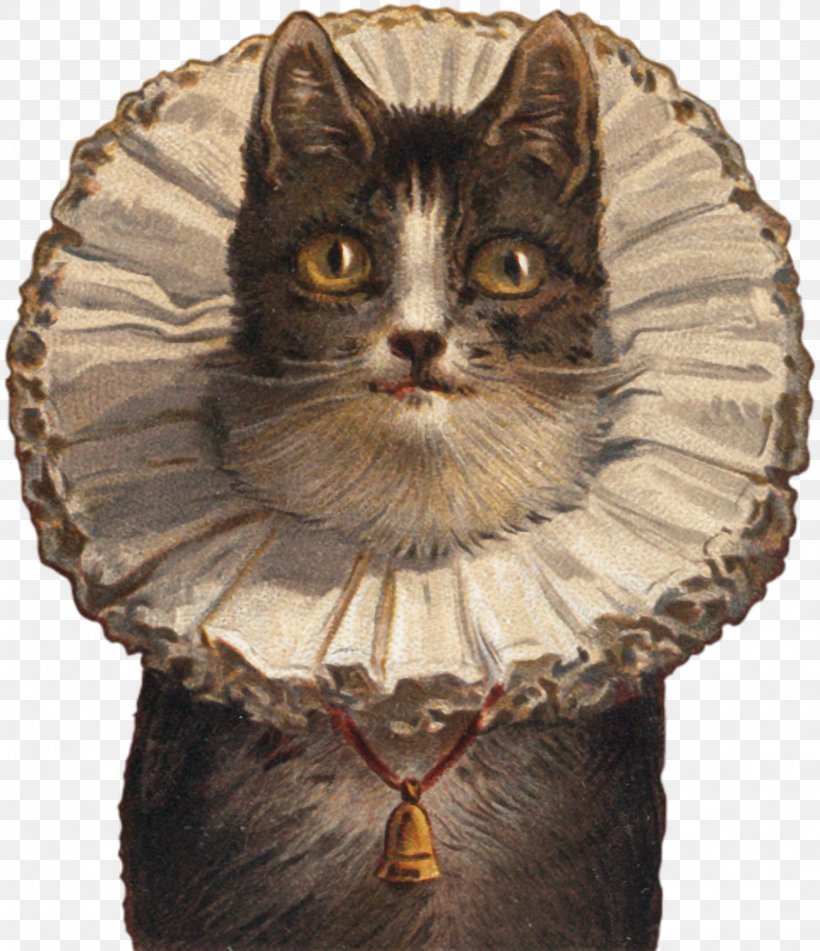 Cat Post Cards Collar Felidae IPhone X, PNG, 1551x1800px, Cat, Carnivoran, Cat Fancy, Cat Like Mammal, Collar Download Free