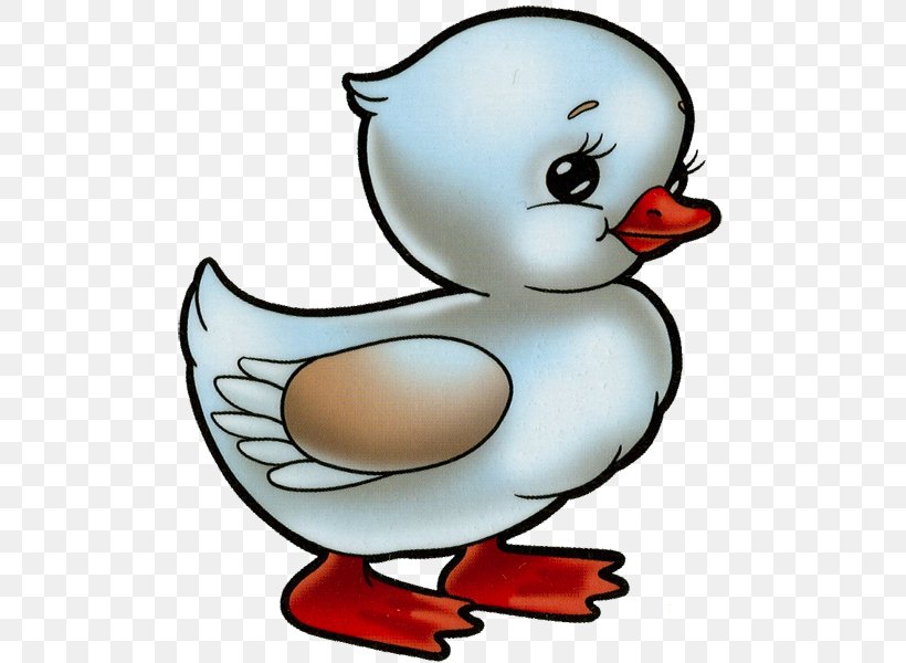 Duck Clip Art Swans Image Drawing, PNG, 505x600px, Duck, Art, Beak, Bird, Cartoon Download Free