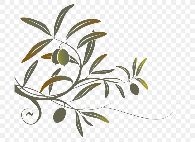 Olive Branch Wall Decal, PNG, 710x598px, Olive Branch, Black And White, Branch, Drawing, Flora Download Free