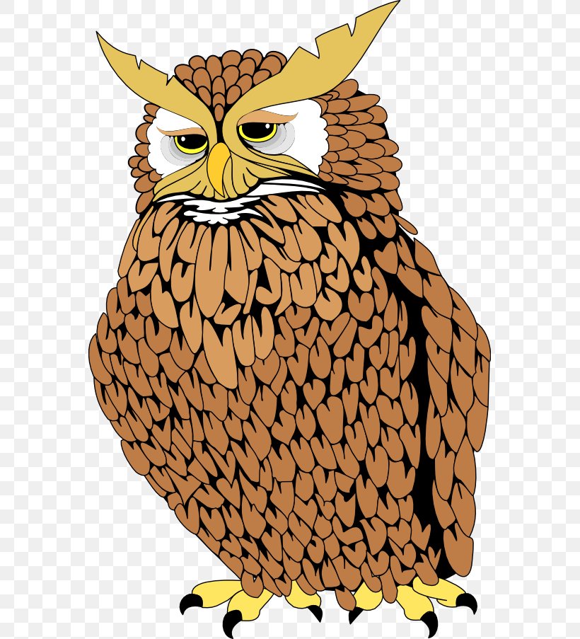 Owl Tecolote Animaatio Clip Art, PNG, 569x903px, Owl, Animaatio, Beak, Bird, Bird Of Prey Download Free