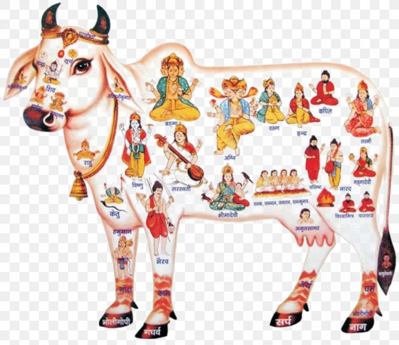 Cattle In Religion And Mythology Krishna Kamadhenu God, PNG, 1000x866px, Cattle In Religion And Mythology, Animal Figure, Cattle, Cattle Feeding, Cattle Like Mammal Download Free