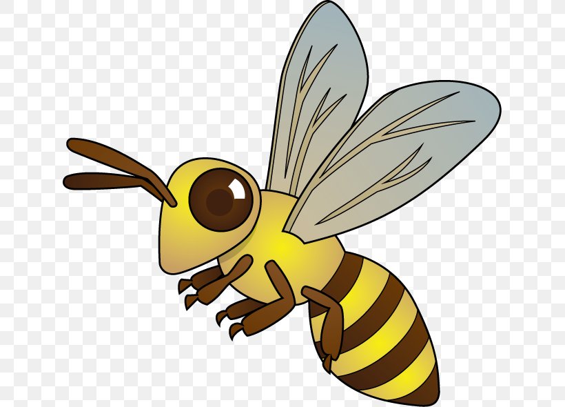 Honey Bee Hornet Insect Clip Art, PNG, 637x590px, Honey Bee, Arthropod, Bee, Fauna, Flowers Bees Download Free