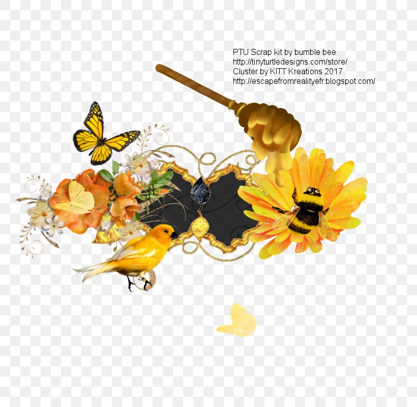Honey Bee Insect Flower Pollinator, PNG, 800x800px, Bee, Bumblebee, Butterfly, Calendula, Cut Flowers Download Free