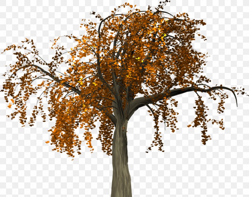 Tree Branch Autumn Clip Art, PNG, 911x720px, Tree, Autumn, Autumn Leaf Color, Branch, Leaf Download Free