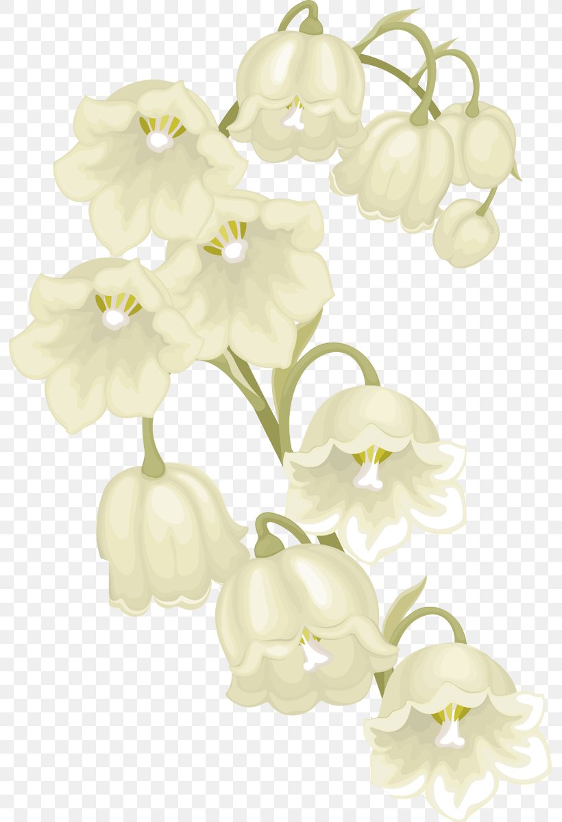 1 May Cut Flowers Plant Stem Lily Of The Valley, PNG, 793x1200px, Cut Flowers, Akhir Pekan, Blossom, Branch, Branching Download Free
