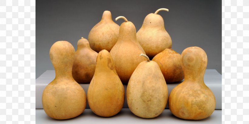 Gourd Calabash Cucurbitaceae Calabaza, PNG, 1200x600px, Gourd, Bottle, Calabash, Calabaza, Cucumber Gourd And Melon Family Download Free