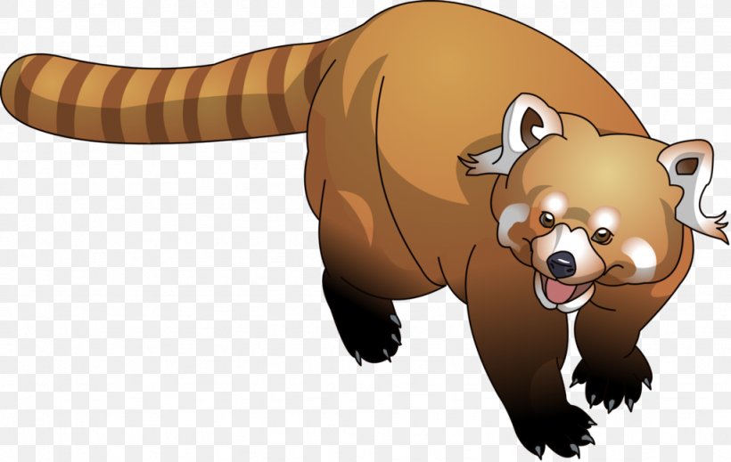 Raccoon Red Panda Bear Cartoon, PNG, 1024x649px, Raccoon, Animal, Animation, Bear, Carnivoran Download Free