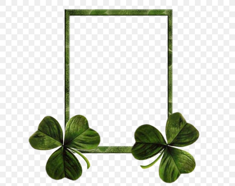Shamrock Saint Patrick's Day Ireland Irish People, PNG, 650x650px, Shamrock, Clover, Fourleaf Clover, Grass, Ireland Download Free