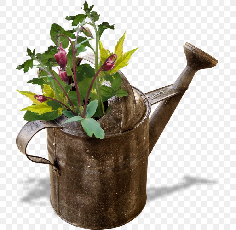 Watering Cans Gardening Flowerpot, PNG, 714x800px, Watering Cans, Diary, Flower, Flowerpot, Garden Download Free