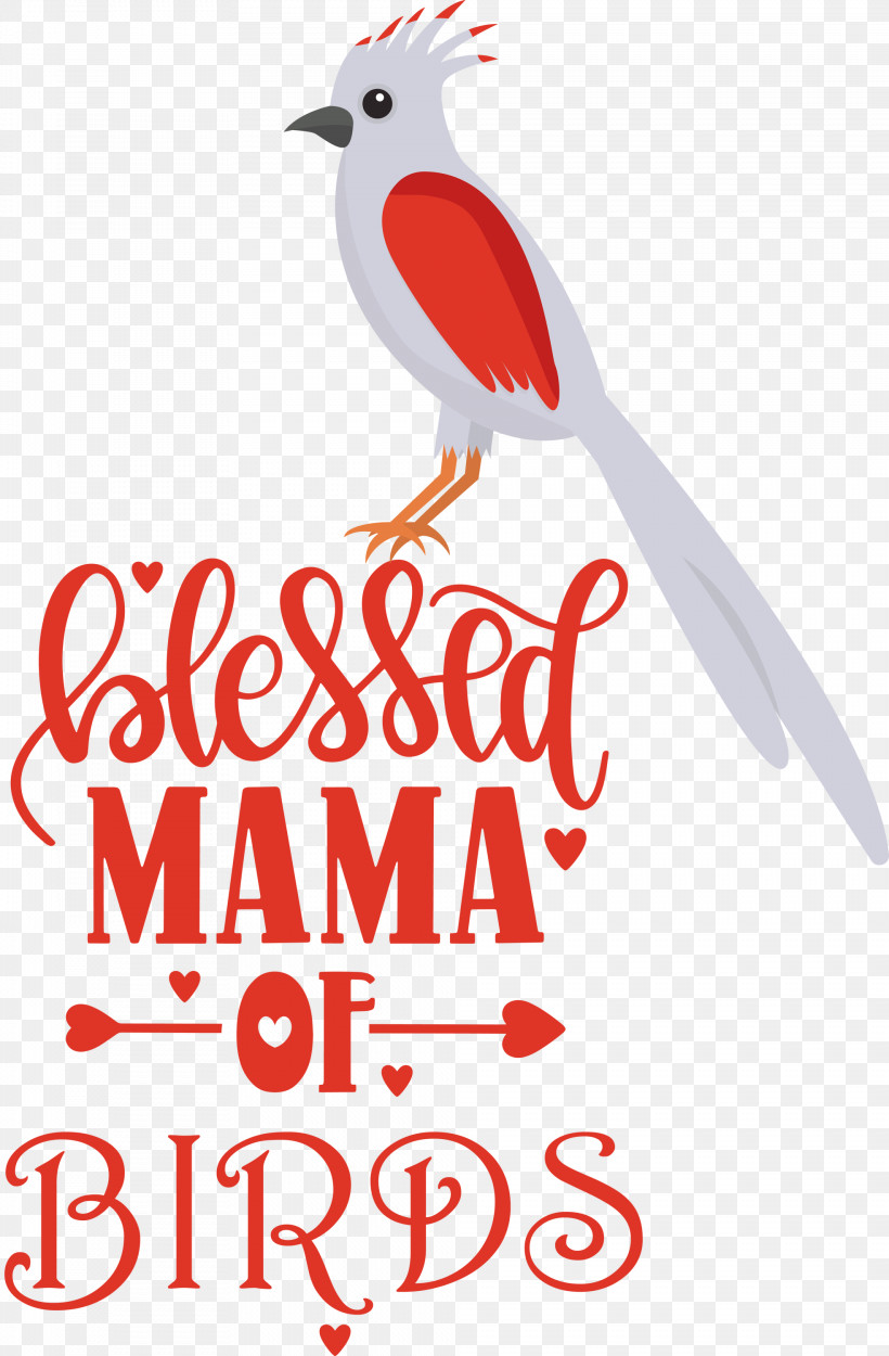 Bird Birds Blessed Mama Of Birds, PNG, 1968x3000px, Bird, Beak, Biology, Birds, Geometry Download Free