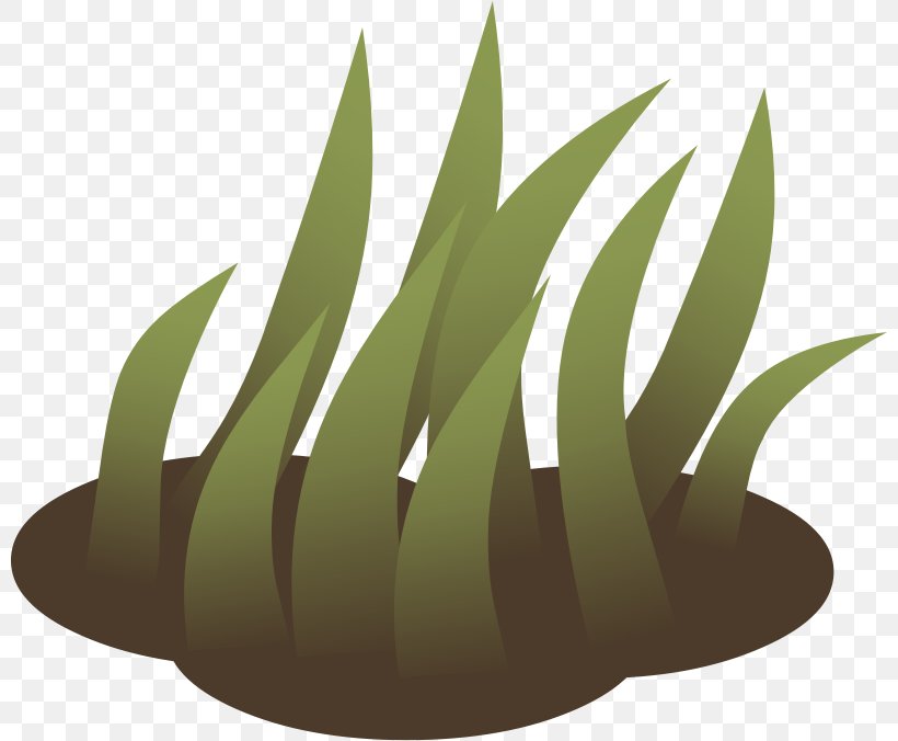 Lawn Grass Clip Art, PNG, 800x676px, Lawn, Commodity, Grass, Green, Leaf Download Free