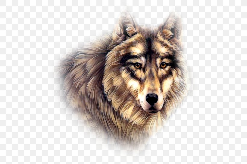 Native Americans In The United States Indian Wolf Cherokee Native American Jewelry, PNG, 500x546px, Indian Wolf, Americans, Canadian Eskimo Dog, Carnivoran, Cherokee Download Free