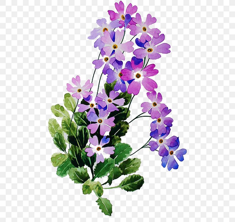 Floral Design Petal Viola Herbaceous Plant, PNG, 504x775px, Floral Design, Flora, Floristry, Flower, Flower Arranging Download Free