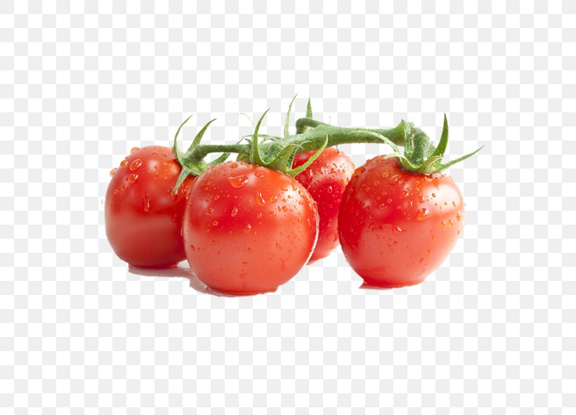 Lycopene Cherry Tomato Tomato Paste Tomato Extract Tomato Sauce, PNG, 591x591px, Cherry Tomato, Bush Tomato, Diet Food, Extract, Food Download Free