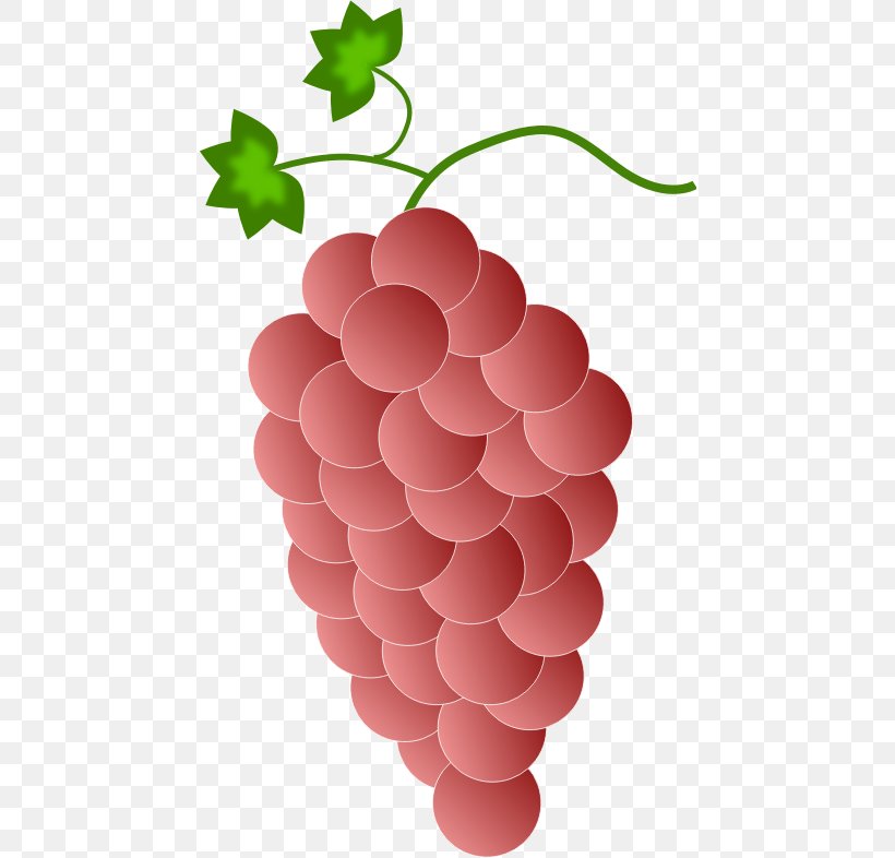 Common Grape Vine Red Wine Clip Art, PNG, 456x786px, Common Grape Vine, Berry, Color, Flowering Plant, Food Download Free