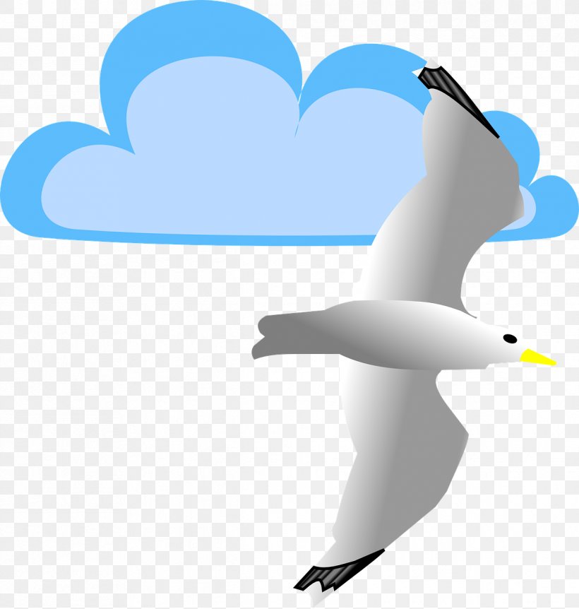 Gulls Clip Art, PNG, 1217x1280px, Gulls, Beak, Bird, Charadriiformes, Dolphin Download Free