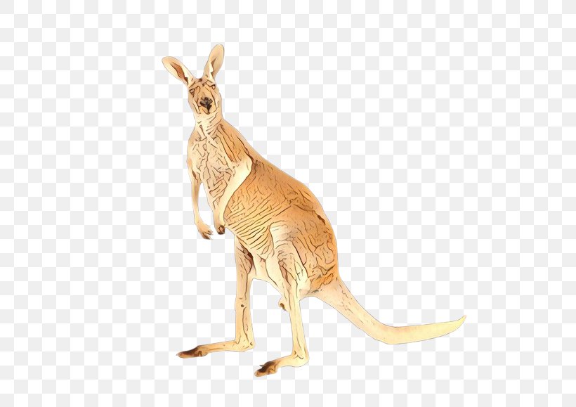 Kangaroo Macropodidae Kangaroo Red Kangaroo Wallaby, PNG, 600x579px, Cartoon, Animal Figure, Kangaroo, Macropodidae, Red Kangaroo Download Free