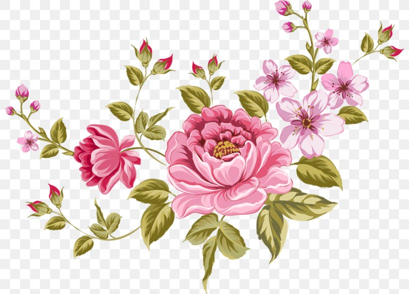 Rose Clip Art, PNG, 800x590px, Rose, Art, Blossom, Blue, Branch Download Free