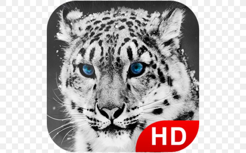 Snow Leopard Tiger Desktop Wallpaper Big Cat, PNG, 512x512px, Leopard, Animal, Big Cat, Big Cats, Black And White Download Free