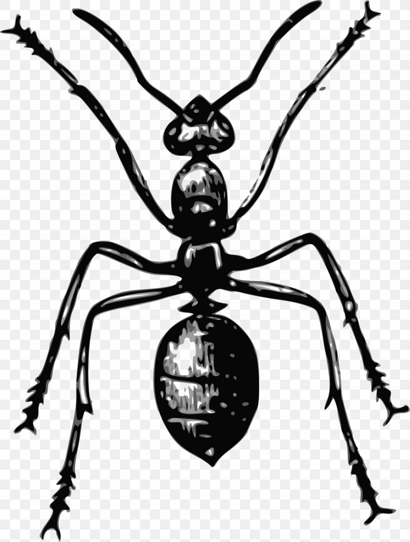 Ant Insect Bee Clip Art, PNG, 1450x1920px, Ant, Animal, Arthropod, Artwork, Bee Download Free